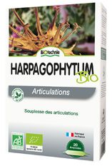 Harpagophytum BIO 20 ampoules - BIOTECHNIE