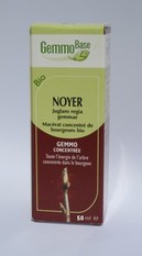 Noyer Macérat de bourgeon Bio-50 ml -HERBALGEM