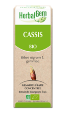 Cassis macérat de bourgeon Bio-30 - HERBALGEM