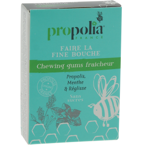 Chewing gum Propolis & Menthe - 25gums - APIMAB - PROPOLIA